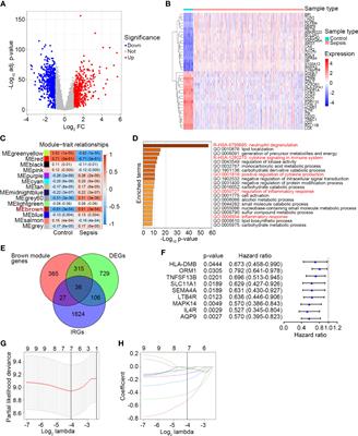 An immune-related gene signature predicts the 28-day mortality in patients with sepsis